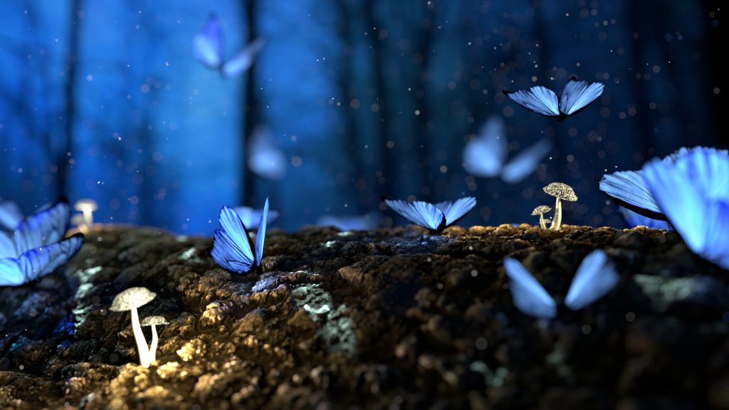 Fairytale scene - butterflies